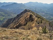 MONTE ZUCCO ad anello via linea tagliafuoco dalla Pernice (20apr21) - FOTOGALLERY